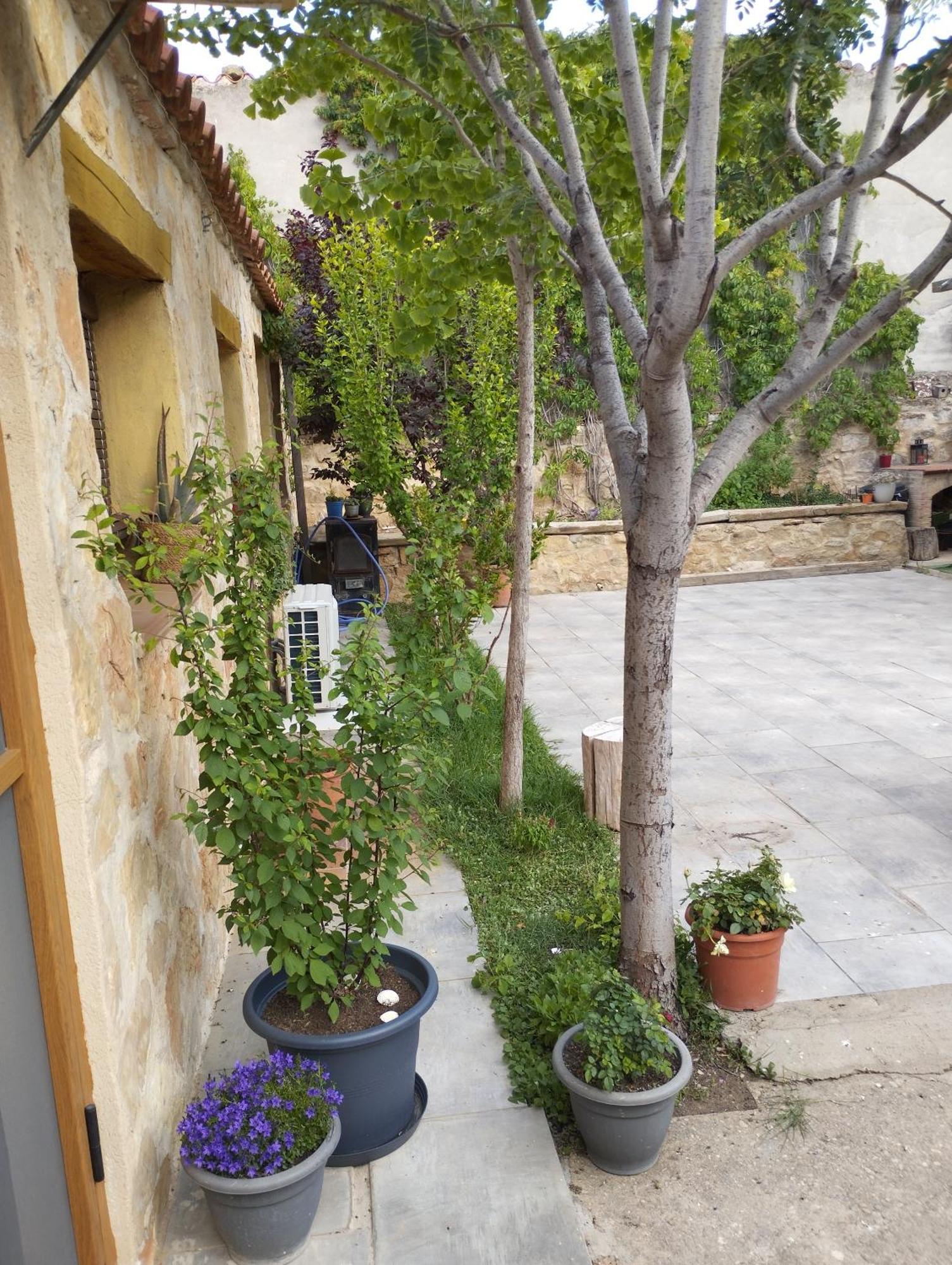 Casa Rural El Olivo Puigmoreno Extérieur photo
